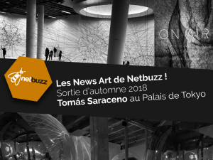 Les News Art de Netbuzz !